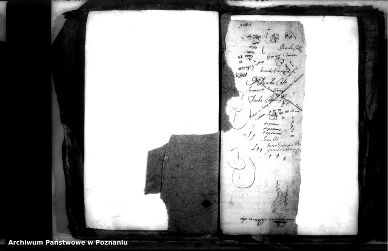 Obraz 5 z jednostki "Relationes [protocollon]"