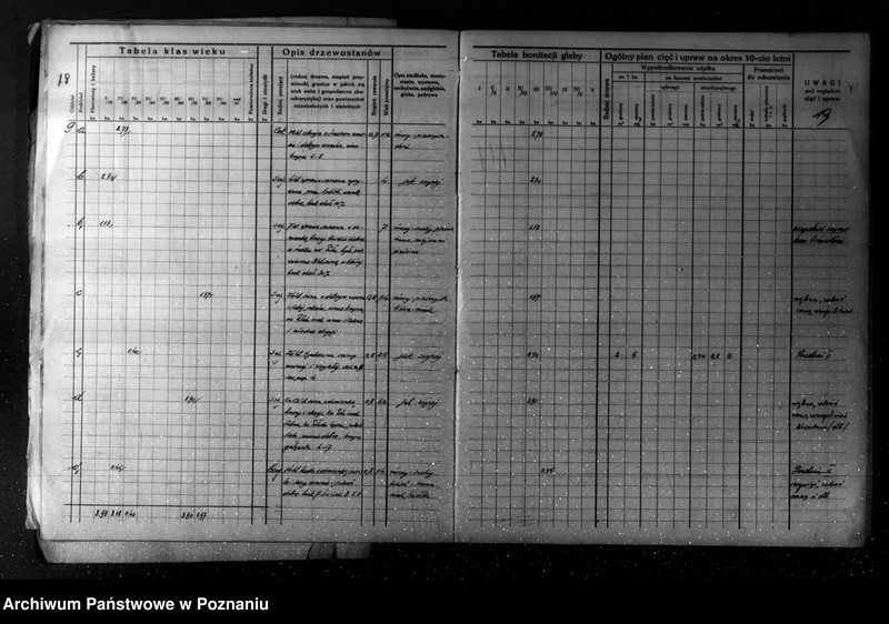 Obraz 14 z jednostki "/Plan urządzania gospodarstwa leśnego dla lasu majątku Turew powiatu kościańskiego 1933-1943/"