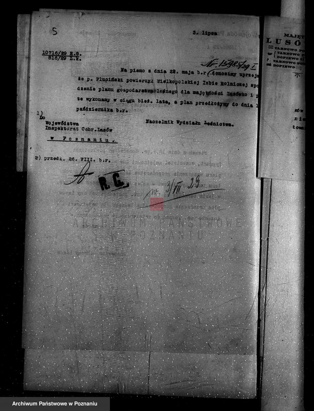 Obraz 9 z jednostki "Zarząd majętności Lusówko powiat poznański/ nadzór nad gospodarką leśną/"