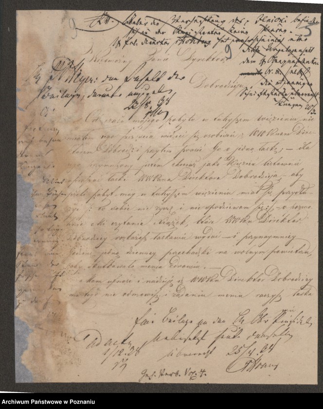 Obraz 13 z jednostki "A. betr. Anton von Ilnicki alias Rogaczewski"