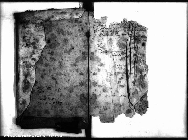 Obraz 3 z jednostki "Inscriptiones, resignationes [protocollon]"