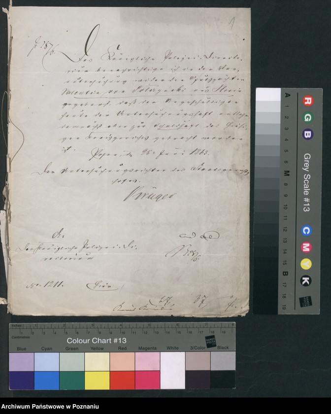 Obraz 4 z jednostki "A. betr. Valentin von Połczyński aus Ślesin auch Marzell Połczyński"