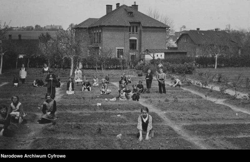 Uczniowie pracujący w ogrodzie szkolnym. Na dalszym planie widoczny budynek szkoły.