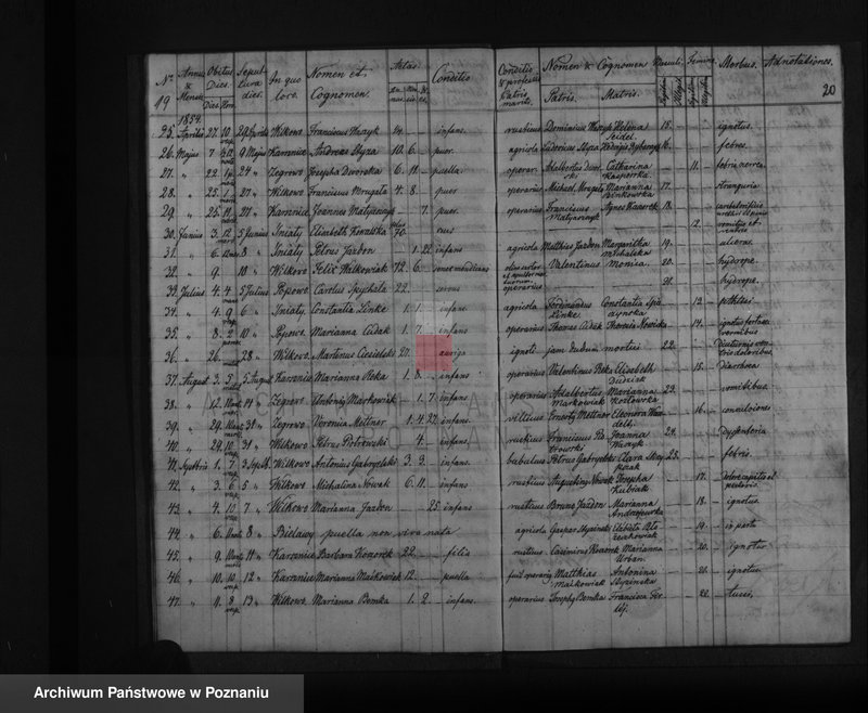 Obraz 14 z jednostki "Liber baptisatorum, copulatorum, mortuorum"