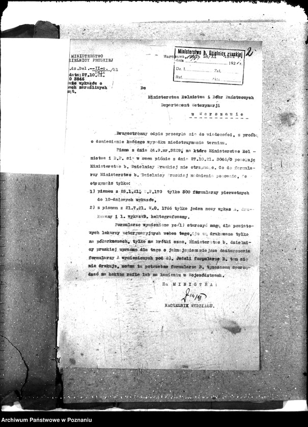 Obraz 6 z jednostki "Weterynaria"