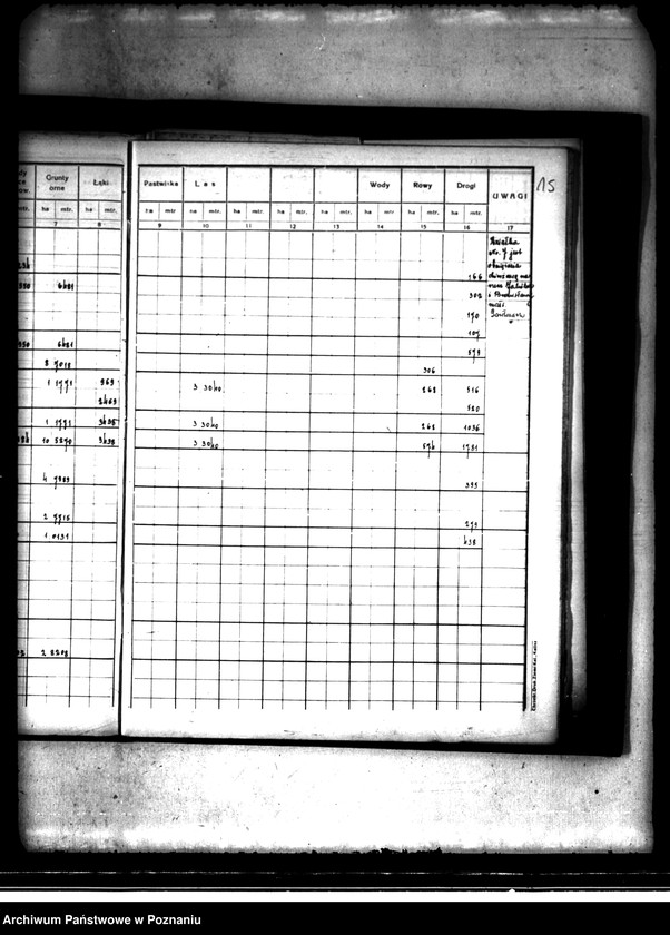 Obraz 19 z jednostki "Wieś i majątek Szczytniki powiat kaliski. Rejestr pomiarowy"