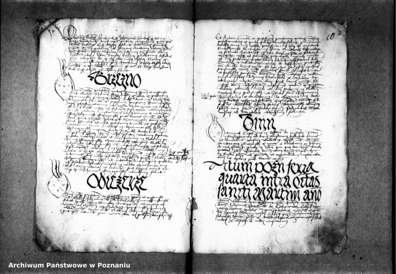 Obraz 15 z jednostki "Inscriptiones, relationes, decreta [inducta]"