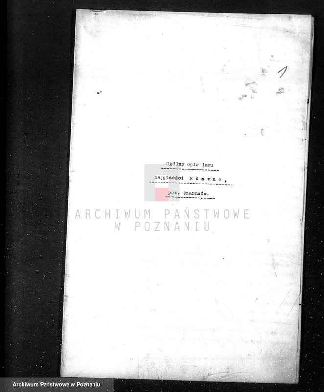 Obraz 5 z jednostki "/Opis lasu majętności Sławno w powiecie czarnkowskim/"