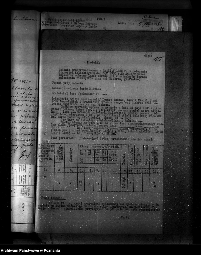 Obraz 19 z jednostki "Zalesienie nieużytków w powiecie tureckim"