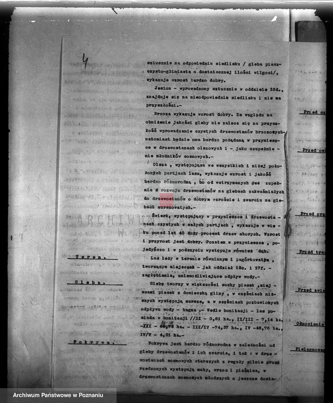 Obraz 8 z jednostki "Plan urządzenia gospodarstwa leśnego dla lasu majętności Śródka w powiecie międzychodzkim 1930-1940"