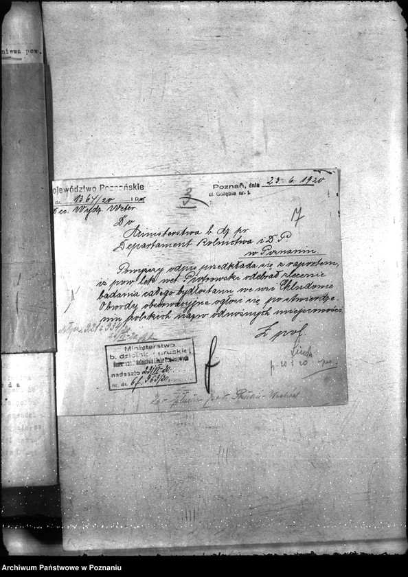 Obraz 11 z jednostki "Zaraza płucna - Poznań-Wschód"