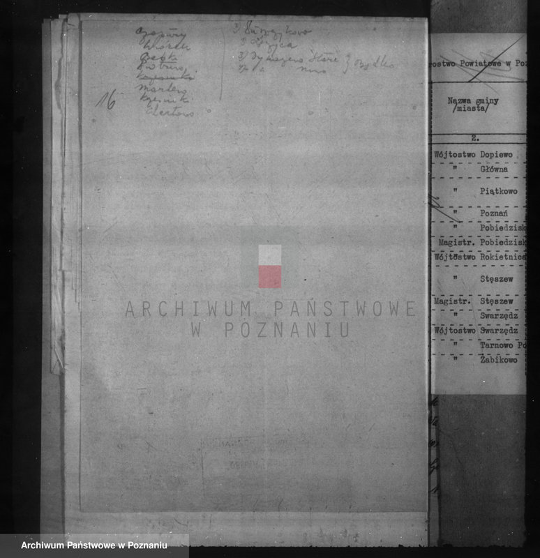 Obraz 20 z jednostki "Zalesienie nieużytków w powiecie poznańskim"