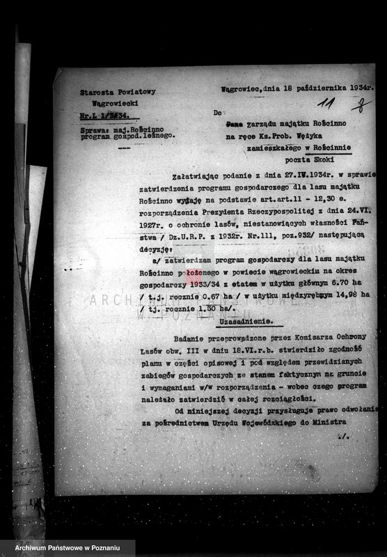 Obraz 15 z jednostki "Nadzór nad gospodarką w lasach majętności Rościnno powiat wągrowiecki"