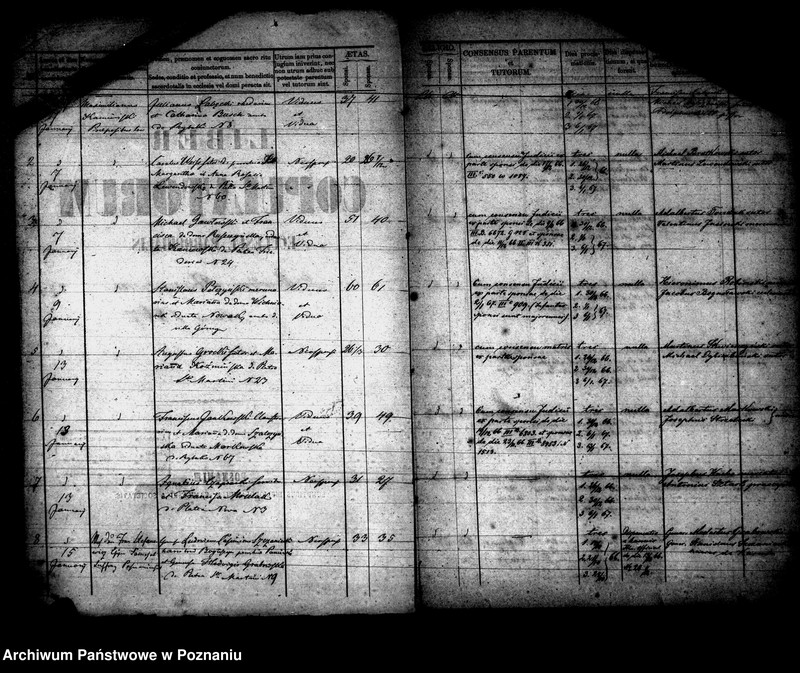 Obraz 2 z jednostki "Księga małżeństw"