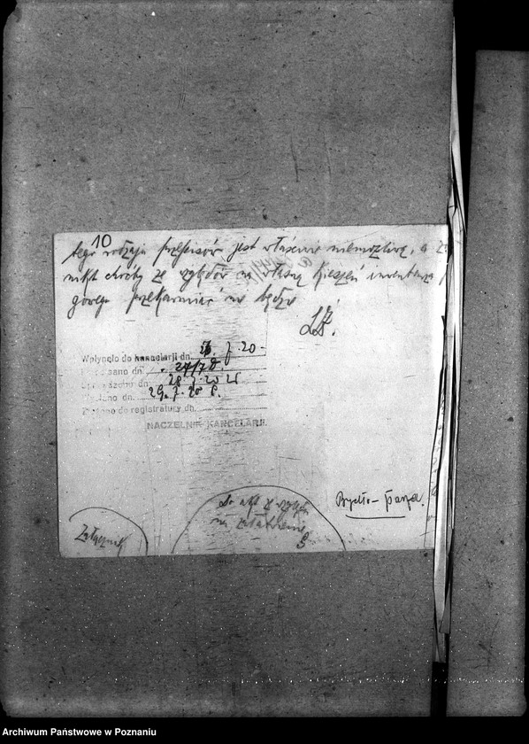 Obraz 14 z jednostki "Sprawy szczegółowo-administracyjne Trzoda"