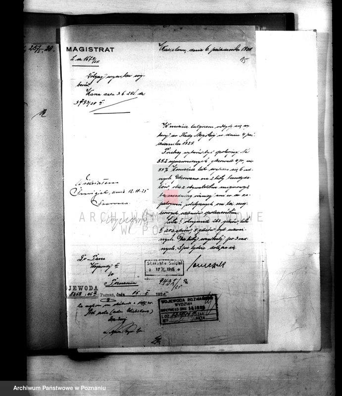 Obraz 19 z jednostki "Administracja miasta Wielichowa"