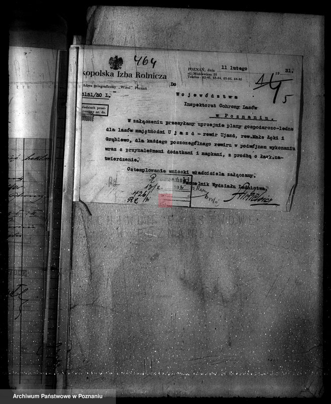 Obraz 9 z jednostki "Nadzór nad gospodarką w lasach majątku Ujazd powiat kościański"