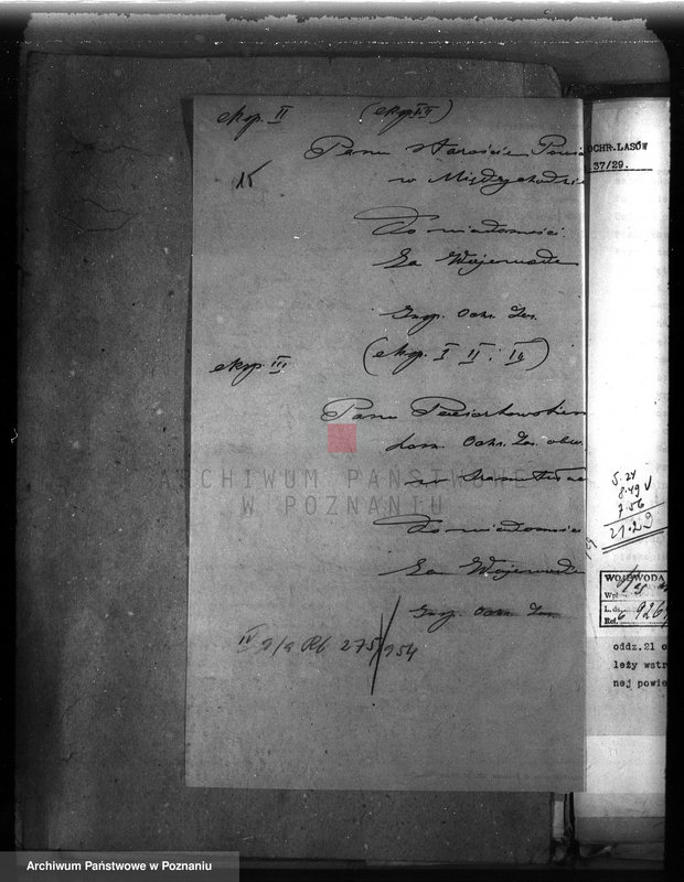 Obraz 19 z jednostki "Majętność leśna Niemierzewo w powiecie międzychodzkim"