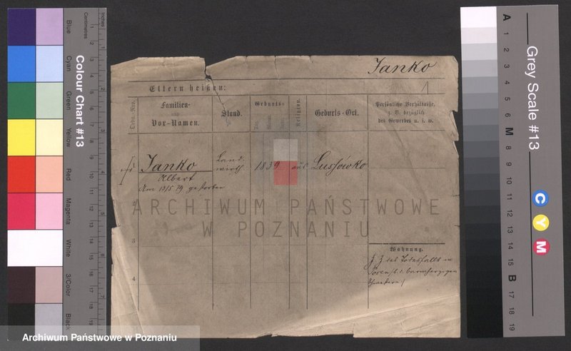 Obraz 1 z jednostki "Janko - Jankowiak (żonaci, samotni mężczyźni)"