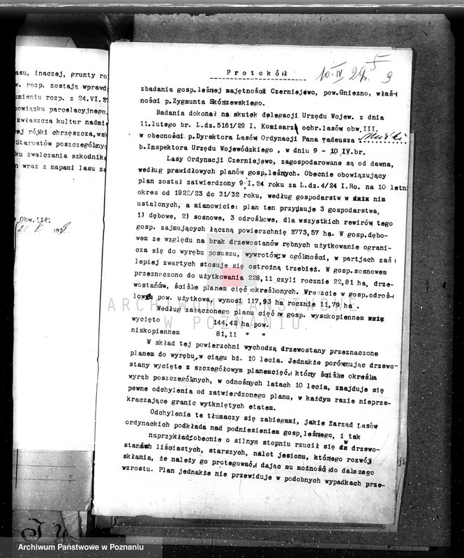 Obraz 13 z jednostki "Nadzór nad gospodarką w lasach majątku Czerniejewo powiecie gnieźnieńskim"