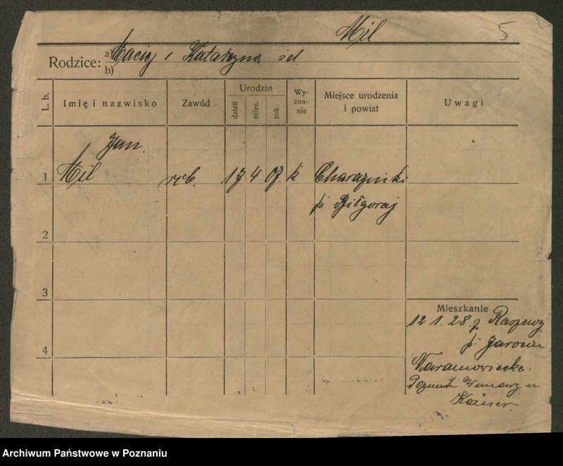 Obraz 7 z jednostki "Mil - Milewski"