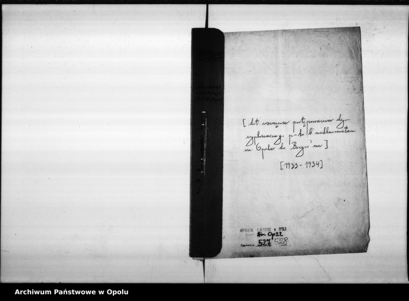 Obraz 4 z jednostki "Stadtverwaltung Oppeln. Dienststrafverfahren gegen Dr. Berger"