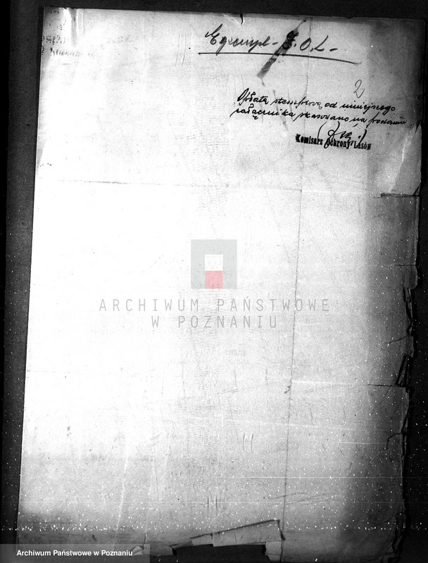 Obraz 6 z jednostki "/Zalesienie gruntów ornych/"