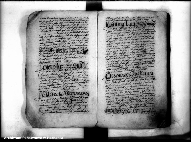 Obraz 16 z jednostki "Inscriptiones [inducta]"