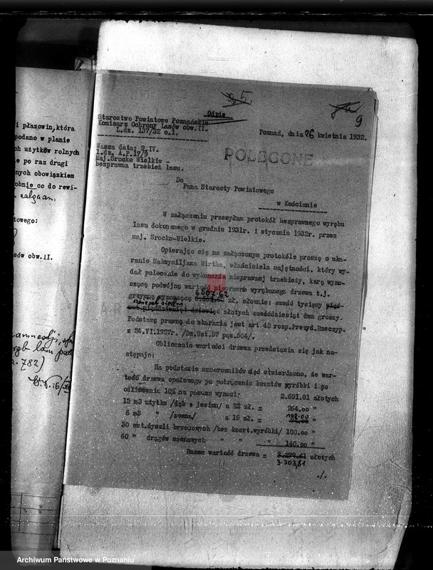 Obraz 13 z jednostki "Las majętności Bieczyny powiat kościański"