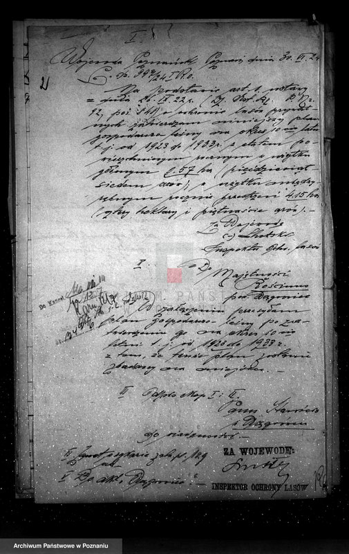 Obraz 6 z jednostki "Nadzór nad gospodarką w lasach majętności Rościnno powiat wągrowiecki"