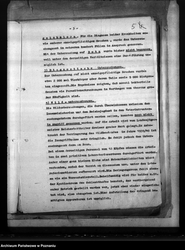 Obraz 9 z jednostki "Unterbringung der Anstalt für Lebensmitteluntersuchung"