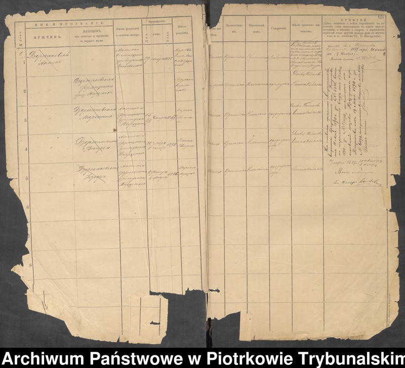 Obraz 8 z jednostki "Kniga postoânnago narodonaseleniâ der. Ignacov˝, Aleksandropol´ [Ignaców, Pieńki]"