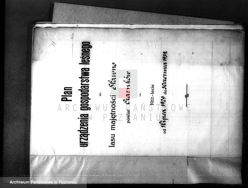 Obraz 16 z jednostki "Nadzór nad gospodarką leśną majątku Sławno powiat czarnkowskim"