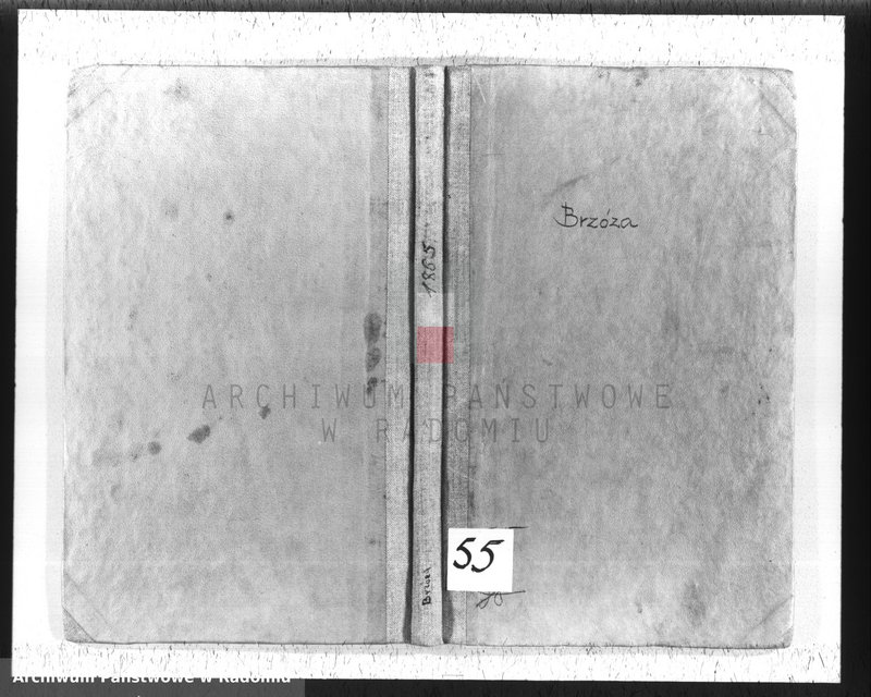 Obraz 2 z jednostki "[Akta stanu cywilnego wyznania rzymskokatolickiego parafii Brzóza 1865]"