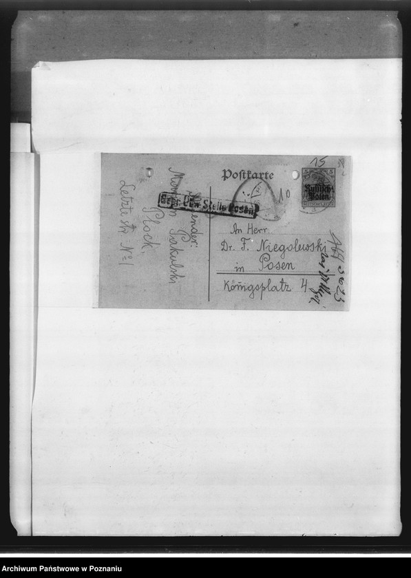 Obraz 19 z jednostki "Królestwo Polskie [korespondencja i sprawozdania z działalności różnych towarzystw z terenu Królestwa Polskiego, między innymi Polskiego Towarzystwa Pomocy dla Ofiar Wojny.]"