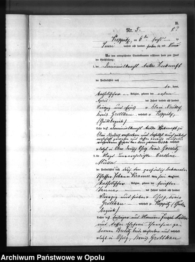 Obraz 12 z jednostki "USC Kopice. Księga akt małżeństw rok 1879"