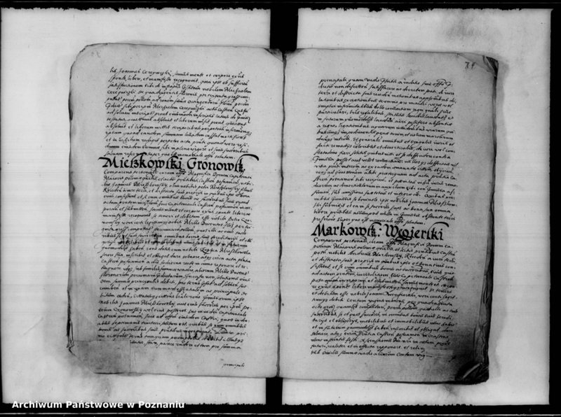 Obraz 18 z jednostki "Inscriptiones, relationes [inducta]"