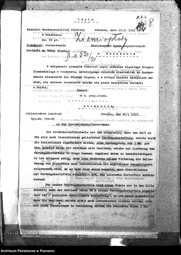 Obraz 12 z jednostki "Ziemiopłody"