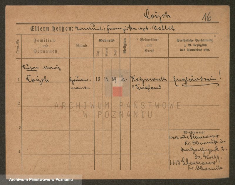 Obraz 16 z jednostki "Koj - Kolanas"