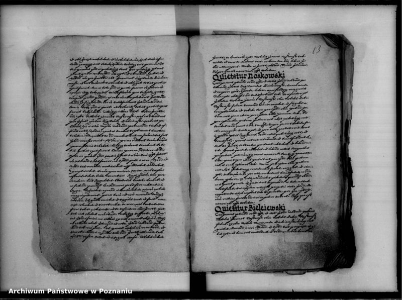 Obraz 17 z jednostki "Inscriptiones, relationes [inducta]"