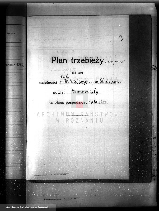 Obraz 7 z jednostki "Plan urządzenia gospodarstwa leśnego dla lasu Berty Stelter w Piotrowie powiat szamotulski 1930-1940"