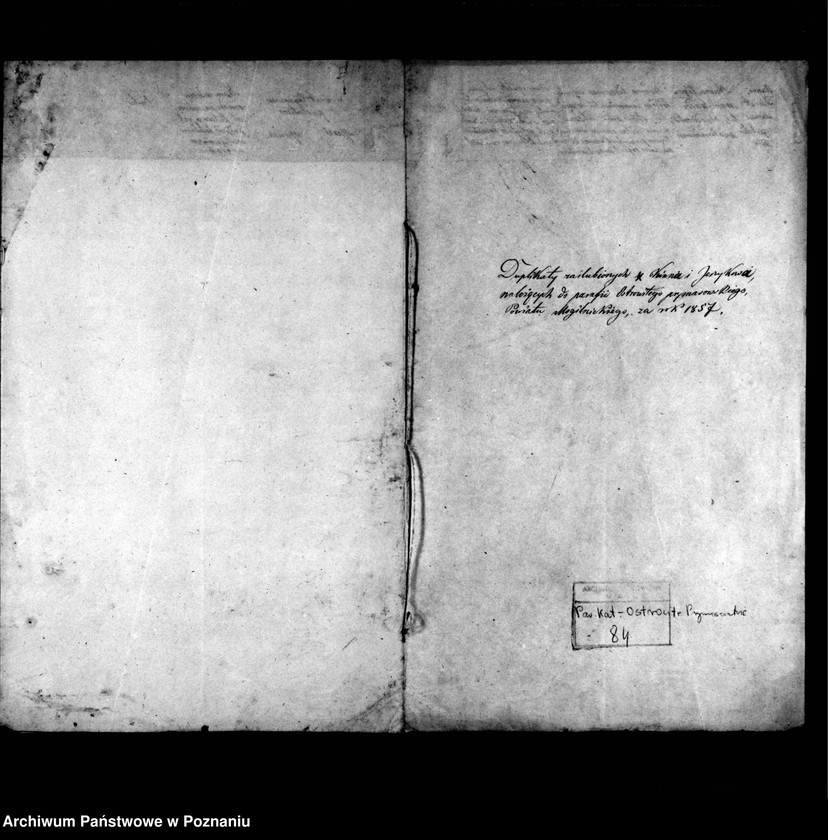 image.from.unit.number "Duplikat zaślubionych"