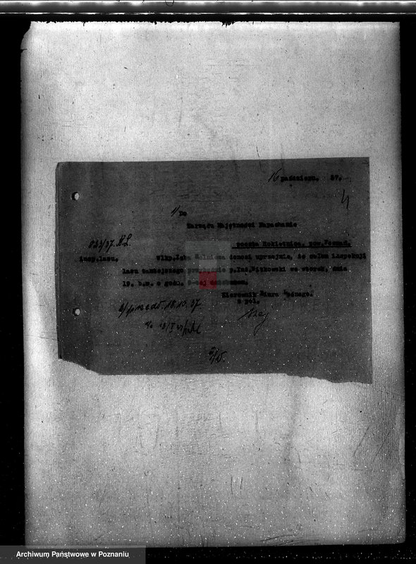 Obraz 8 z jednostki "Napachanie powiat poznański nadzór nad gospodarką leśną"