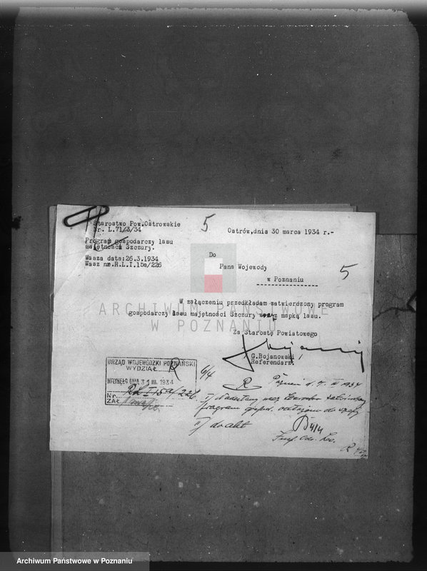image.from.unit.number "Las majętności Szczury powiat ostrowski"