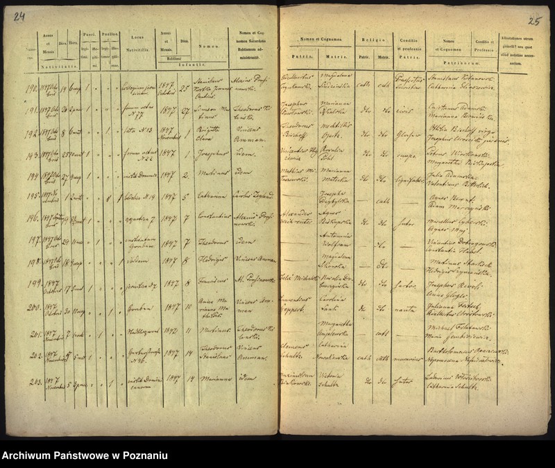 Obraz 16 z jednostki "Księga urodzin"