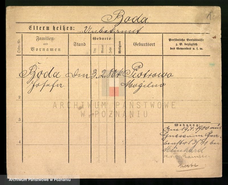 Obraz 3 z jednostki "Bodach - Bogdziewicz"