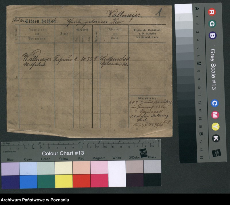 Obraz 6 z jednostki "Walmajer - Walter (żonaci - samotni mężczyźni)"