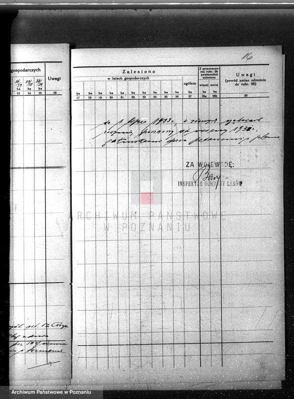 Obraz 20 z jednostki "/Opis lasu majętności Sławno w powiecie czarnkowskim/"