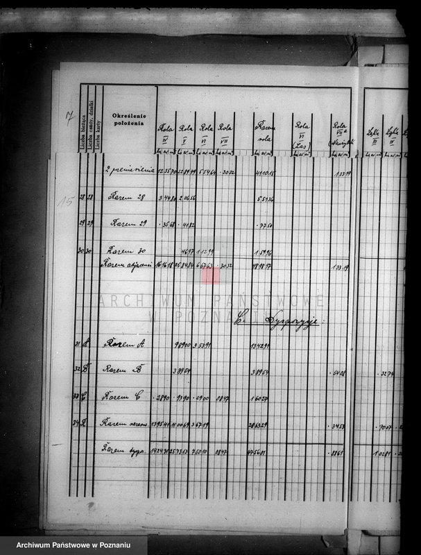 Obraz 19 z jednostki "Tymczasowy rejestr pomiarowy majątku Wyrza powiatu wyrzyskiego"