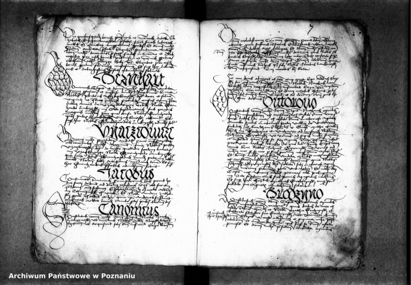 Obraz 10 z jednostki "Inscriptiones, relationes, decreta [inducta]"